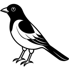 Bird black vector style silhouette illustration on white background.