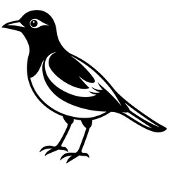 Bird black vector style silhouette illustration on white background.