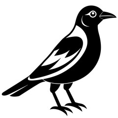 Bird black vector style silhouette illustration on white background.