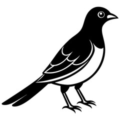 Bird black vector style silhouette illustration on white background.
