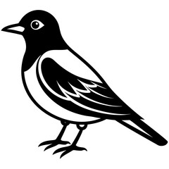 Bird black vector style silhouette illustration on white background.