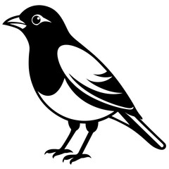 Bird black vector style silhouette illustration on white background.