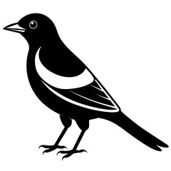 illustration of a bird