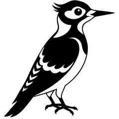 Beautiful bird Woodpecker silhouette black color vector icon illustration