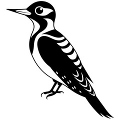 Beautiful bird Woodpecker silhouette black color vector icon illustration