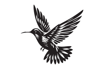 Fototapeta premium Humming bird flying silhouette vector illustrator with white background black and white