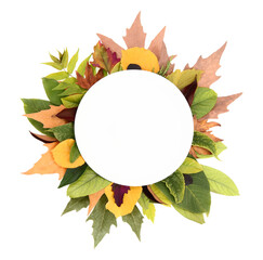 autumn leaves frame isolated on white transparent
