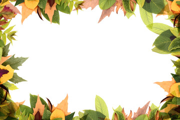 autumn leaves frame isolated on white transparent