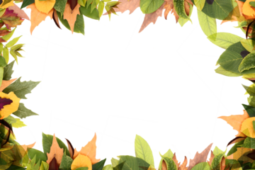 autumn leaves frame isolated on white transparent