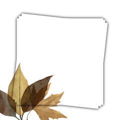 autumn leaves frame