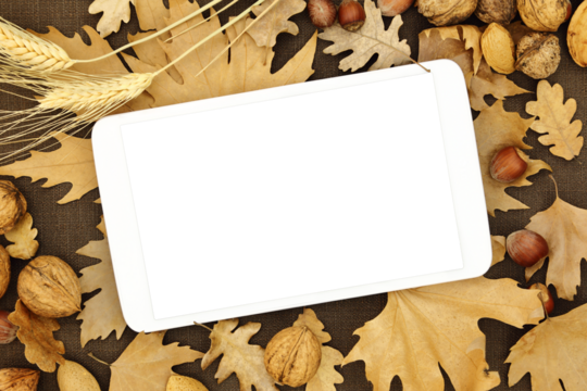 autumn leaves on wooden background - Powered by Adobe