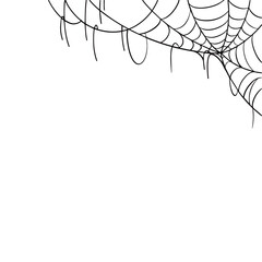 Spider web illustration decorative background