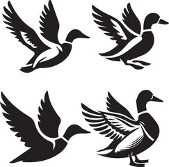 Obraz premium set of Malan duck silhouette