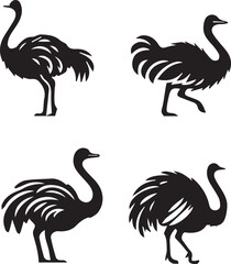 set of silhouette of ostrich