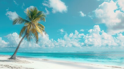 Obraz premium Beautiful palm tree on tropical island beach on background blue sky with white clouds and turquoise ocean on sunny day. Perfect natural landscape for summer vacation, ultra wide format.