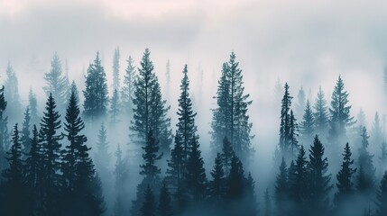 /imagine A serene, foggy forest with towering pine trees, their silhouettes softly blurred by the mist, creating a peaceful and mysterious atmosphere.