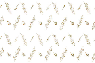 Plant background. Delicate floral pattern of dried pressed wildflowers. Perfect for creating...