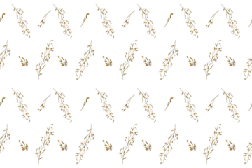 Plant background. Delicate floral pattern of dried pressed wildflowers. Perfect for creating botanical postcard, wedding invitation, interior design, cards. Pressed floristry, oshibana.