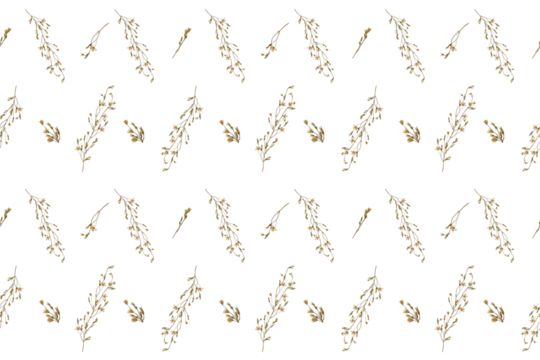 Plant background. Delicate floral pattern of dried pressed wildflowers. Perfect for creating botanical postcard, wedding invitation, interior design, cards. Pressed floristry, oshibana.