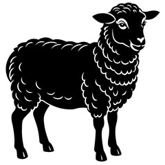 illustration of sheep