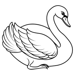 illustration of a swan