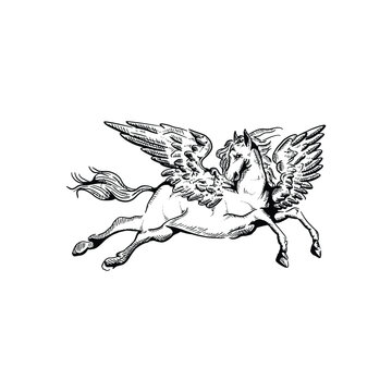 recommend clip art: Vintage hand drawn flying Pegasus horse with feather wings art vector