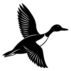 duck isolated on white background