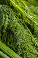 using spices of dill and onion in cooking