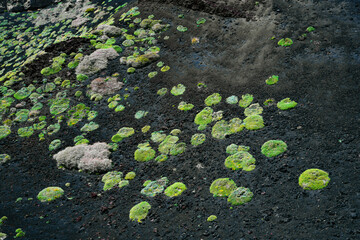 Summer landscape of Etna volcano, Sicily, Italy. Beautiful Travel photography	
