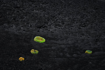 Mount Etna landscape with volcano craters in Sicily, Italy, Europe	

