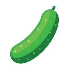 cucumbers vegetable vector art illustration