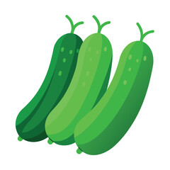 cucumbers vegetable vector art illustration