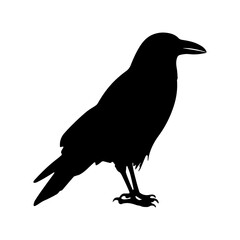 Crow raven bird vector silhouette