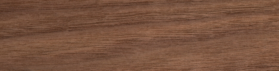 Canaletto veneer wood texture in close up. Panoramic wood veneer texture.