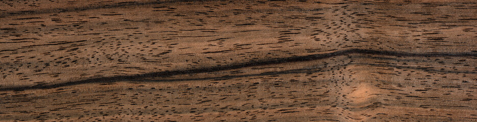Close-up of ebony white veneer, a fusion of elegance and modern sophistication. Panoramic wood...
