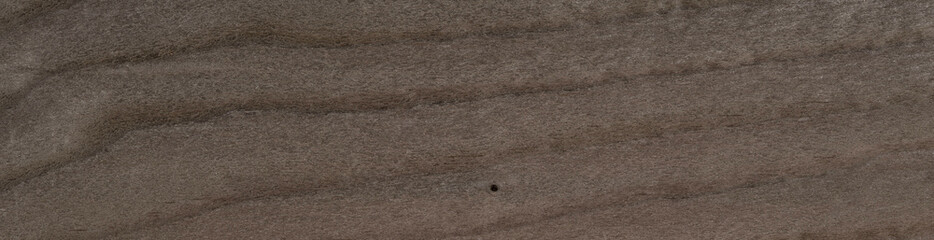 Close-up of silver gray fir veneer, a harmonious blend of elegance and tranquility. Panoramic wood...