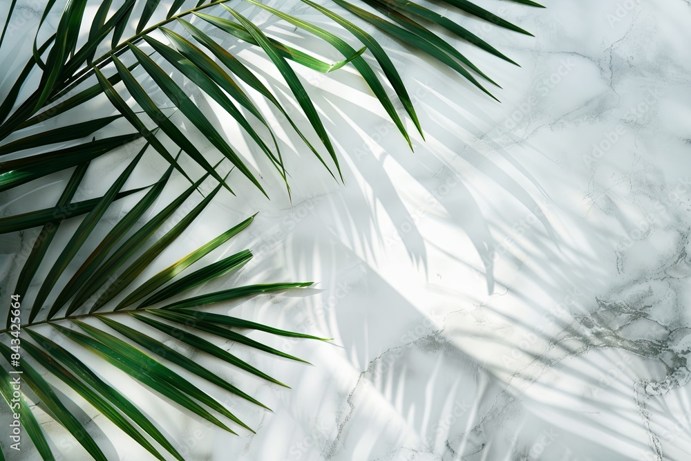 Canvas Prints Top view of tropical palm leaf shadow on a white marble background.