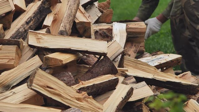 Men picking up firewood in the countryside.
