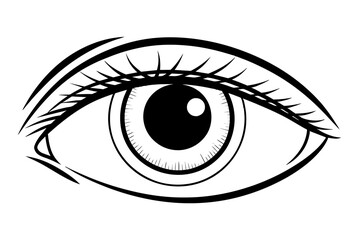 eyes organ, simple line illustration icon,