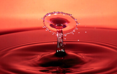 Water drop hight speed flash photography