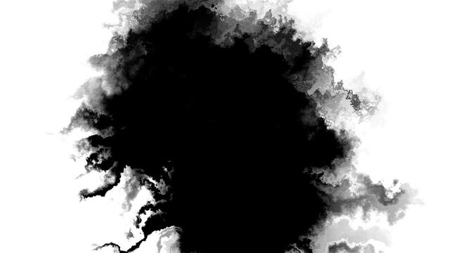 Abstract Ink splash spreads across the screen ink transition splatter blot spreading. ink splatter transition. ink brush stroke, fluid art black and white. Slide Show, Fade, Matte, Reveal splatter