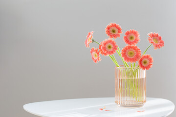 pink gerber in glass pink vase on white modern table