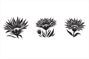 Asazania silhouette vector illustration