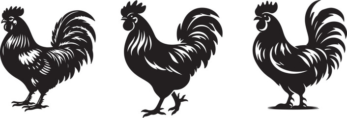 chicken silhouette vector illustration © Shahanaz