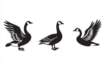  Goose sillouette vector illustration