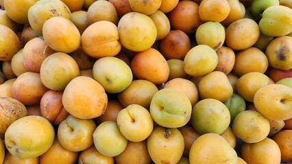 Apricot fruits sold at a greengrocer's stall