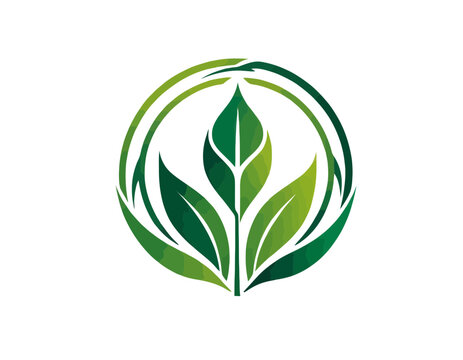Eco logo, eko, ekologiczne logo, ekologia logo, ekologia, sałatka, warzywa, rośliny, logo, plants logo