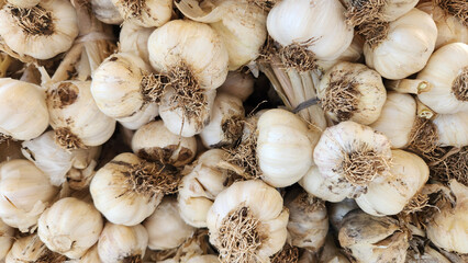 Garlic sold at a greengrocer's stall