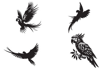 Parrot silhouete vector illustration