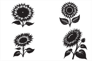 Sunflower silhouette vector illustratino